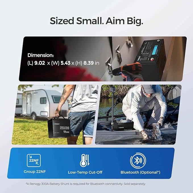 Renogy 2PCS 12V 100Ah Mini Size LiFePO4 Lithium Battery, 100A BMS for Ultimate Safety, Deep Cycle Remote Monitoring, Backup for RV, Cabin, Marine, 200ah LiFePO4 Lithium Battery - Core Series