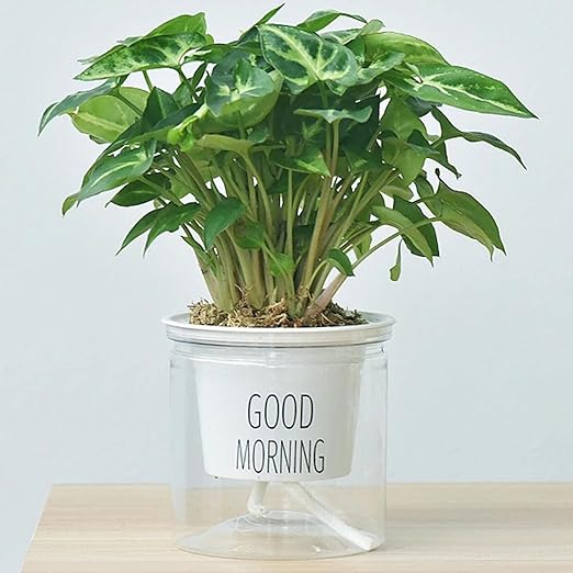 Drip Irrigation System, 33 feet 1/6 inch Self-Watering Planter Pot Automatic Water System Device Potted Violet self Watering Rope-30362