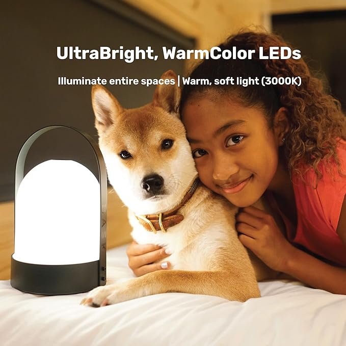 Bask KIN 3.0 Portable Cordless Lantern Table Lamp | USB Rechargeable | Powerful Long-Lasting 4000mAh Battery | Kids Bedroom | Easy 3-Step Touch Dimmable | UltraBright LED (Vanilla Cream)