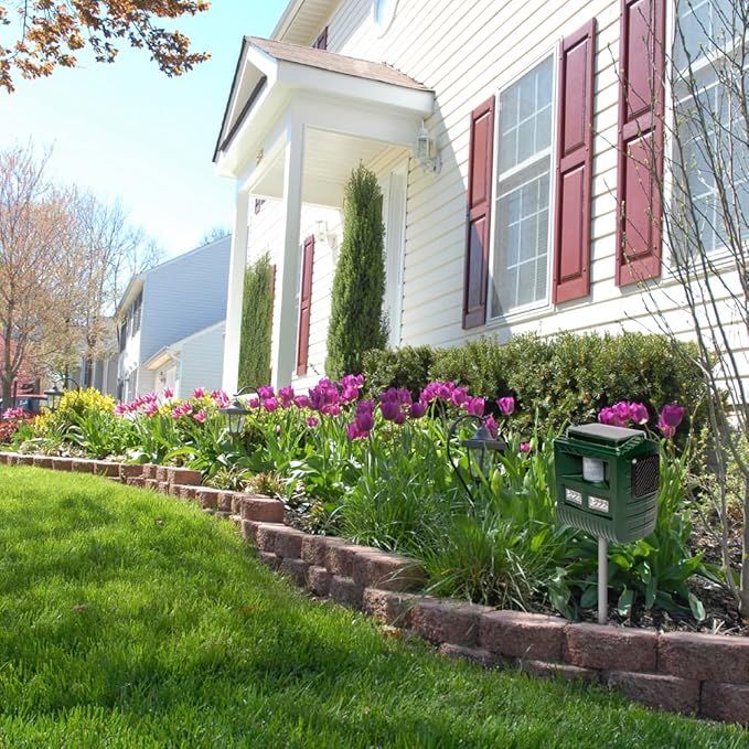 Bird B Gone Solar Yard Shield Animal & Pest Repeller - Solar Powered Ultrasonic Bird & Animal Repeller - Motion Activated - Outdoor Sonic Bird & Pest Repellent with 3 Modes for Garden Protection