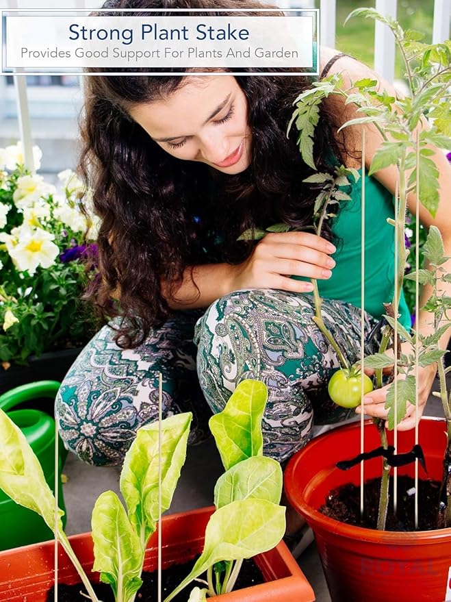 60 PCS Bamboo Marshmallow Roasting Sticks, SMores Skewers, Extra Long 25 Inch Heavy Duty 6mm Thick Wooden SMores Sticks for Open Fire Pits Roaster Barbecue Hot Dog Camping Kebab Sausage Plant Support