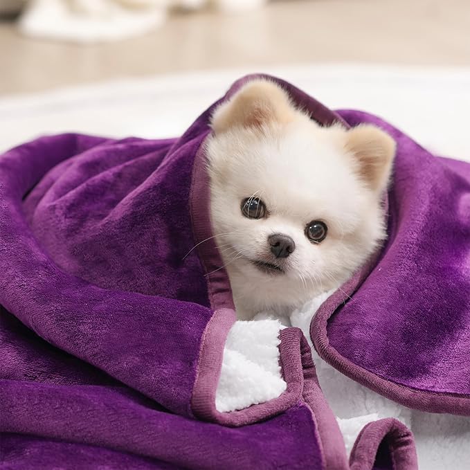 gogobunny Waterproof Pet Blanket for Small Dogs and Cats, Reversible Sherpa Fleece Soft Plush Throw for Couch Protection, Washable Furniture Protector (Dark Purple, 30x30 inches)