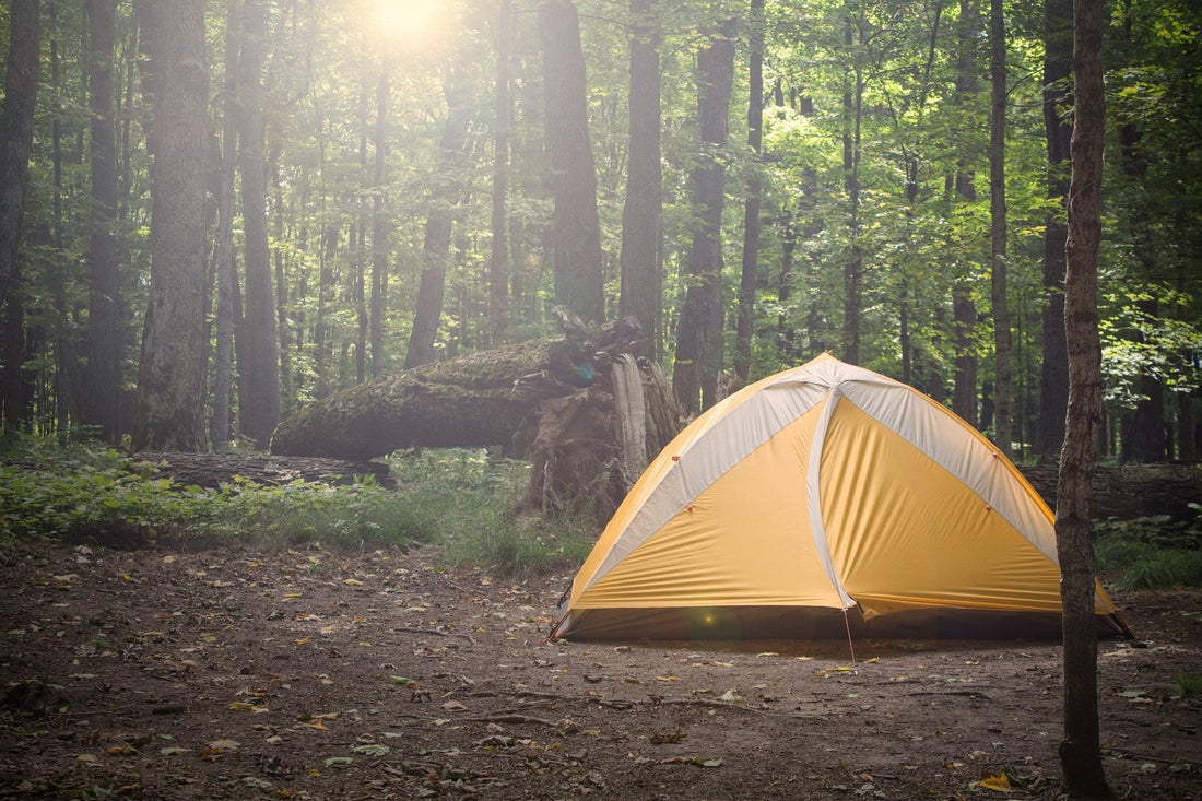 Top 10 Must-Have Camping Gadgets for 2025