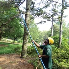 Jameson Lightweight Fiberglass Hollow Core Complete Tree Care, Landscaping, and Pruning Kit with an 8 inch Folding Hand Saw