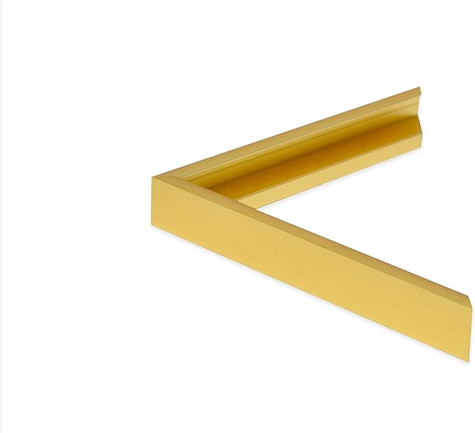 Frame My Mirror Gold Metal Framed Mirror, 22" x 30" Mirror for Bathroom, Metal Frame, True Reflections Glass, Gold Finish, Stanton Design, Hangs Horizontally or Vertically, Made in USA