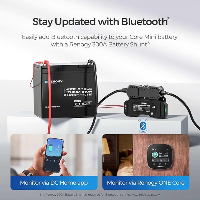 Renogy 2PCS 12V 100Ah Mini Size LiFePO4 Lithium Battery, 100A BMS for Ultimate Safety, Deep Cycle Remote Monitoring, Backup for RV, Cabin, Marine, 200ah LiFePO4 Lithium Battery - Core Series