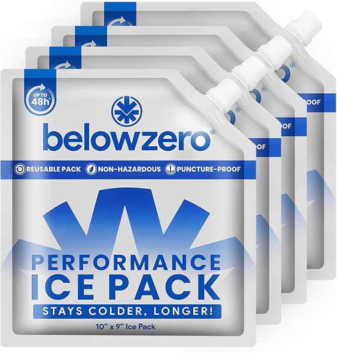 Below Zero Reusable Ice Packs for Coolers – Long Lasting Cooler Ice Pack Blocks, Leak-Proof Freezer Packs for Camping, Lunch Boxes & Travel
