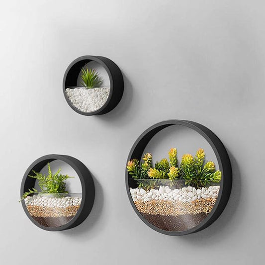 3 Pack Set Wall Planters,Modern Round Glass Wall Planter Succulent Planter Circle Iron Hanging Planter Vase for Herb,Small Cactus Perfect for Balcony, Room and Patio Decor (Black)