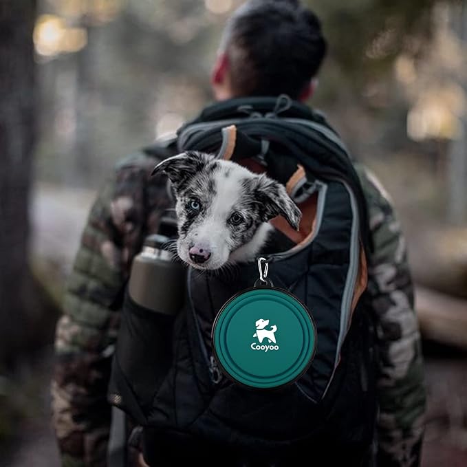 COOYOO Collapsible Dog Bowl,2 Pack Collapsible Dog Water Bowls for Cats Dogs,Portable Pet Feeding Watering Dish for Walking Parking Traveling with 2 Carabiners