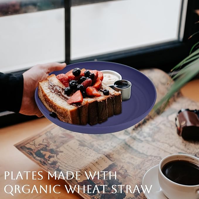 Homienly Wheat Straw Salad & Dessert Plates Set - Unbreakable, Reusable, 8-10 inch, Blue Series