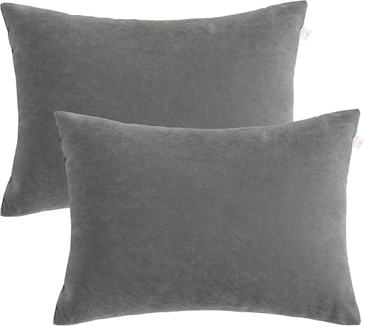 BEDSUM 2 Pack Microfiber Pillows, 13"x18", Soft, Machine Washable, Dark Grey