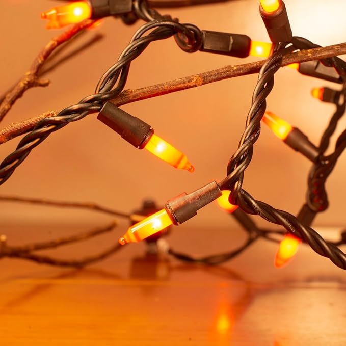 100 Count Orange String Lights Plug in, 21ft Fall Lights with Black Wire, Orange Lights for Halloween Decorations Indoor, Mini String Lights Outdoor Tree Porch,Party Decor