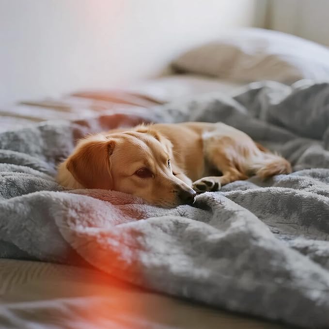 gogobunny Waterproof Bed Blanket, Reversible Sherpa Fleece Throw Blanket for Dog Puppy Cat, Furniture Cover Protects Bed Couch Sofa from Liquid Pee and Pet Fur (Grey, 60x80 inches)