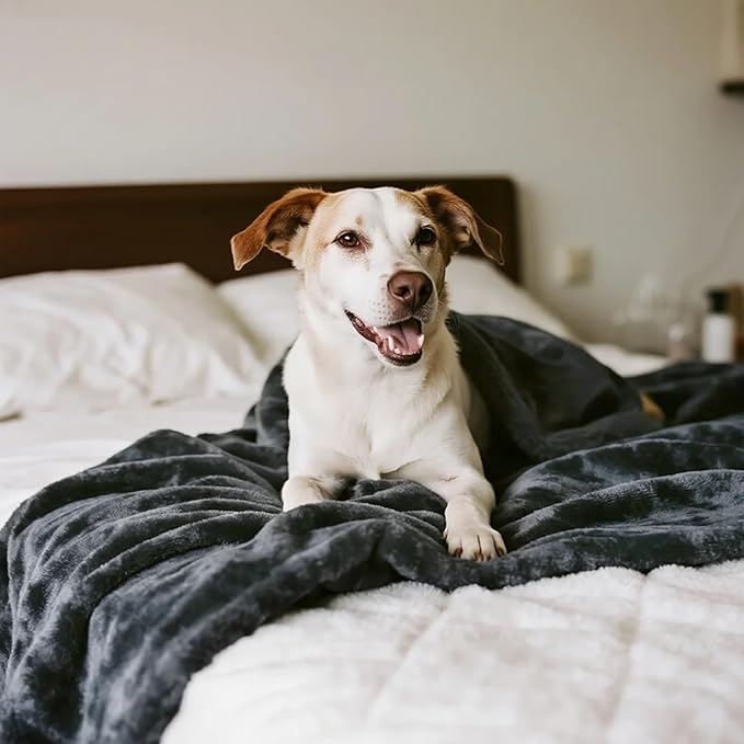 gogobunny Waterproof Bed Blanket, Reversible Sherpa Fleece Throw Blanket for Dog Puppy Cat, Furniture Cover Protects Bed Couch Sofa from Liquid Pee and Pet Fur (Dark Grey, 90x90 inches)