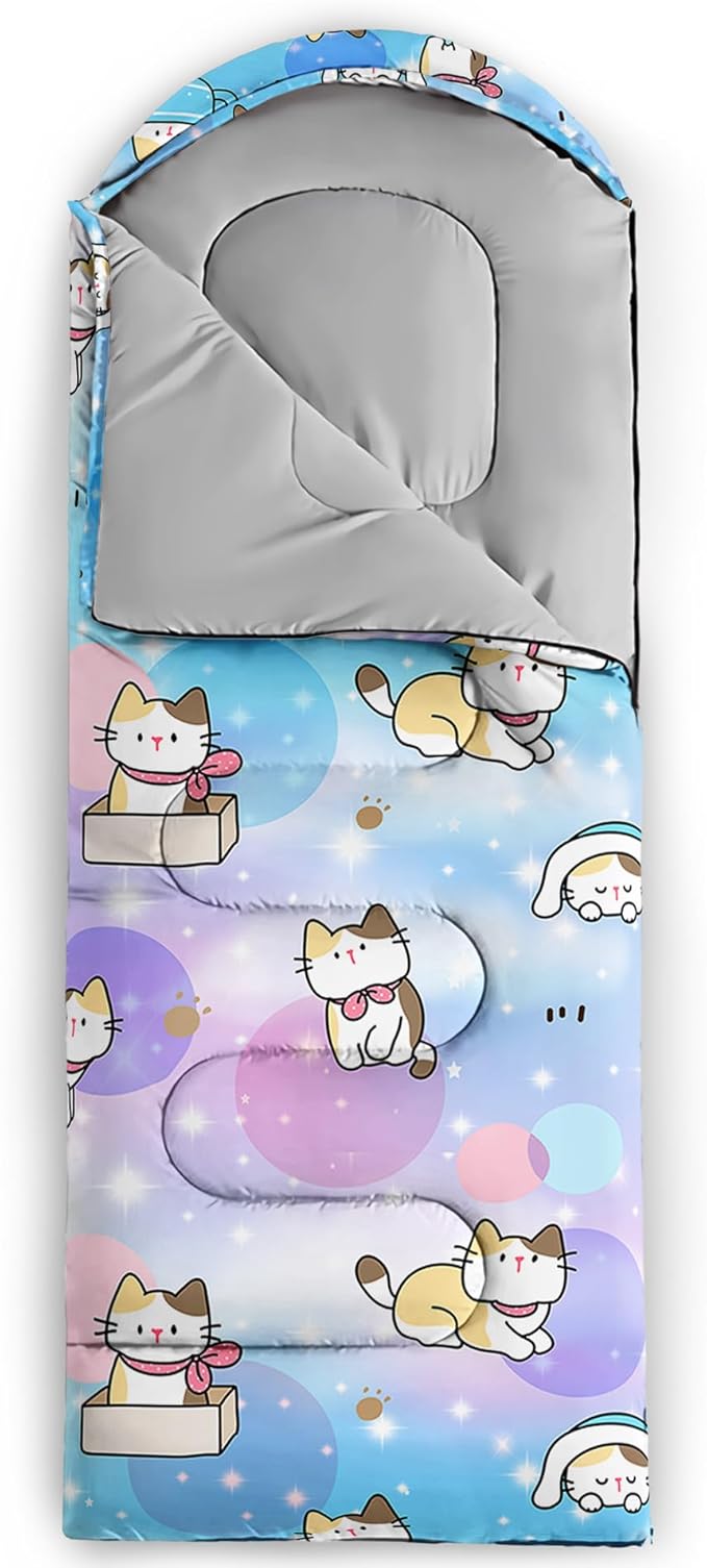 BailiPromise Camping Sleeping Bags,3 Season Warm & Cool Weather,Lightweight,Waterproof Sleeping Bags for Adults & Kids,Traveling,and Outdoors,Camping Gear Equipment