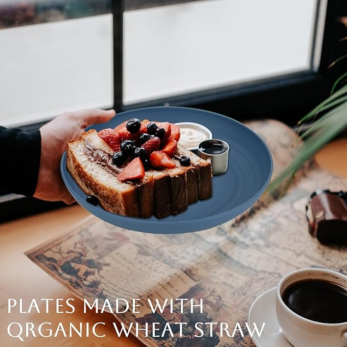 Homienly Wheat Straw Dinner Plates - Set of 8 Unbreakable Dishwasher and Microwave Safe Kids Plates (Blue) - 9 inch