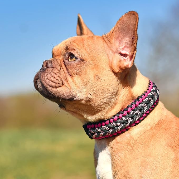 HERCULES Type III Paracord 550 Paracord Rope Parachute Cord, 100' Purple for Camping Cord, Survival Rope