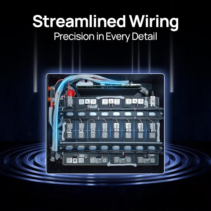 ECO-WORTHY 48V 200Ah LiFePO4 Lithium Battery (2 Pack 48V 100AH), 10.24kWh Capacity, Server Rack Battery with Bluetooth, 6000 Deep Cycles, Ideal for Off-Grid, Solar, Energy Back-up