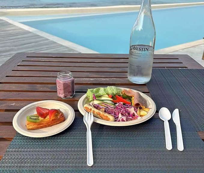 GreenWorks Compostable Knives,100 Count 7" Heavyweight Disposable Biobased Cutlery Knife