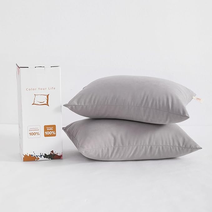 BEDSUM 2 Pack Pillows, 13"x18" Microfiber Pillow for Travel, Pet, Soft and Machine Washable Small Pillows for Neck, Wrist, and Knee Comfort, Light Grey