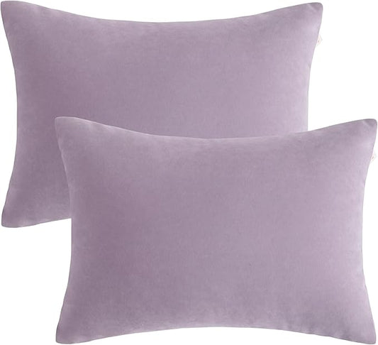 BEDSUM 2 Pack Microfiber Pillows, 13"x18" for Travel, Pets, Soft and Machine Washable, Small for Neck, Wrist, and Knee Comfort, Lavender