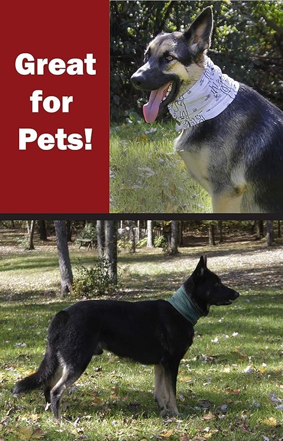 $averPak Pets - InsectGuard Permethrin Treated Mosquitoes, Flies, Ticks & More Insect Repellent Tube Dog Bandanna (Green)