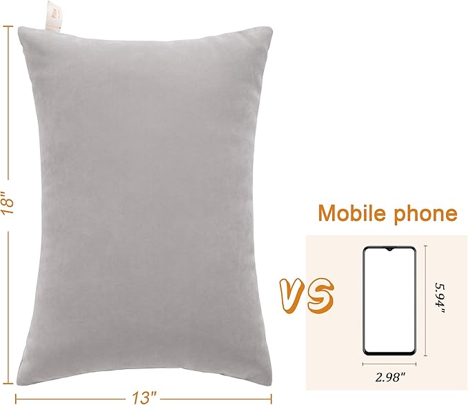 BEDSUM 2 Pack Pillows, 13"x18" Microfiber Pillow for Travel, Pet, Soft and Machine Washable Small Pillows for Neck, Wrist, and Knee Comfort, Light Grey