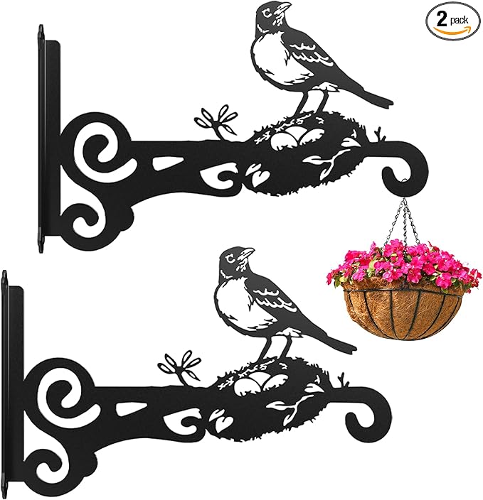 2-Pack Aesthetic Plant Hanger Indoor and Outdoor ??10 Inch Metal Hanging Plant Bracket with Beautiful Bird Pattern ??Anti Rust Plant Hooks for Hanging Plants, Bird Feeder, Wind Chime, Lantern