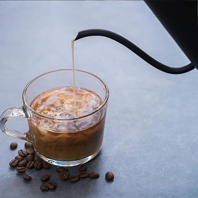 Easyworkz Gage Gooseneck Pour Over Coffee Kettle 20 oz with Thermometer Stainless Steel Hand Drip Coffee Pot With Long Narrow Spout