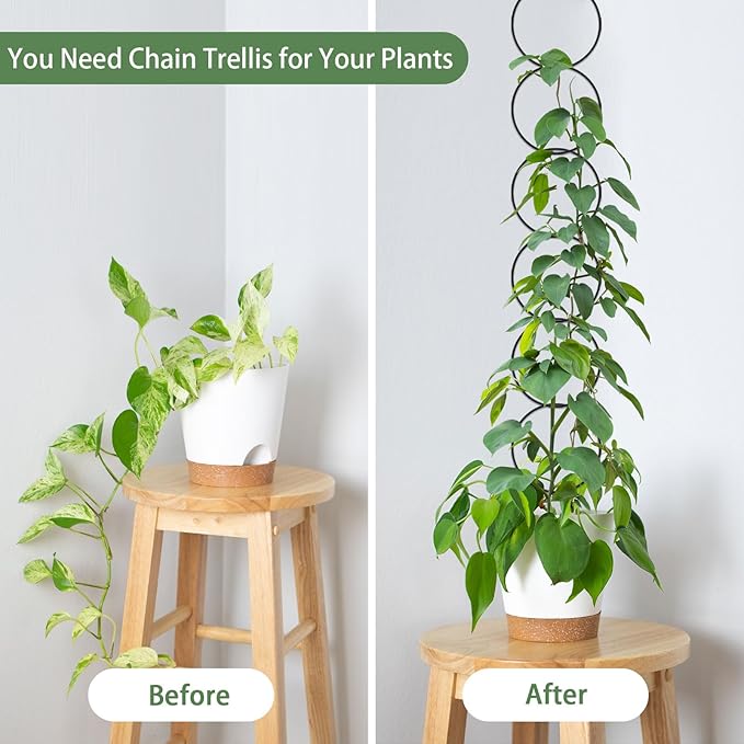 18 Pcs Chain Trellis for Climbing Plants, 7.5(ft) L Wall Plant Trellis Indoor, Pothos Plant Climber Support for Ivy Hoya Flower, Circles