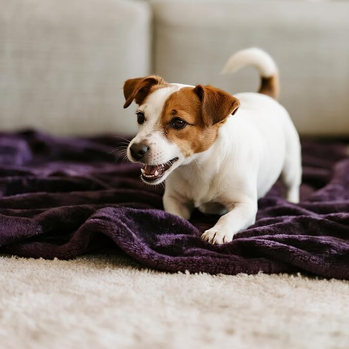 gogobunny Waterproof Bed Blanket, Reversible Sherpa Fleece Throw Blanket for Dog Puppy Cat, Furniture Cover Protects Bed Couch Sofa from Liquid Pee and Pet Fur (Dark Purple, 50x60 inches)