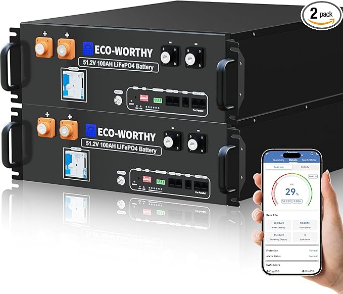 ECO-WORTHY 48V 200Ah LiFePO4 Lithium Battery (2 Pack 48V 100AH), 10.24kWh Capacity, Server Rack Battery with Bluetooth, 6000 Deep Cycles, Ideal for Off-Grid, Solar, Energy Back-up