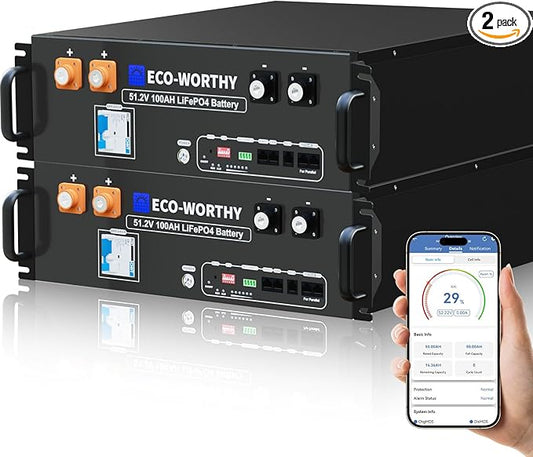 ECO-WORTHY 48V 200Ah LiFePO4 Lithium Battery (2 Pack 48V 100AH), 10.24kWh Capacity, Server Rack Battery with Bluetooth, 6000 Deep Cycles, Ideal for Off-Grid, Solar, Energy Back-up