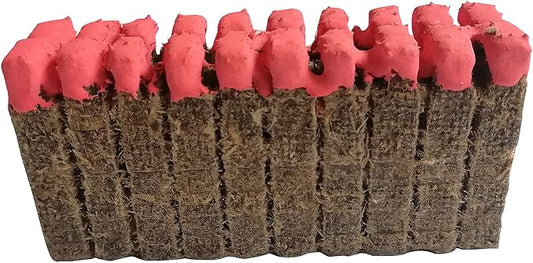 Barbecue Natural Wax Infused Wooden Match Grill Fireplace Waterproof Party Camping Hiking Bushcraft Outdoor + Free Tin Container (1 x 20 Matches)