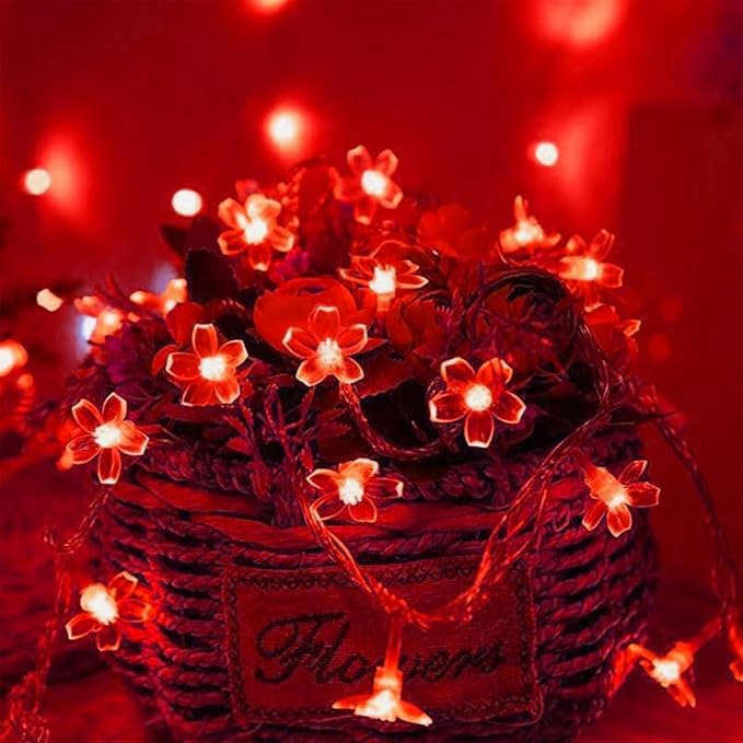 Battery Lighted & USB Plug in Fairy Flower String Lights, 10ft 30 LED Cute Cherry Blossom Lights with Timer Indoor Bedroom Party Wedding Christmas Easter Tree Branch Hanging Decorations (Red)