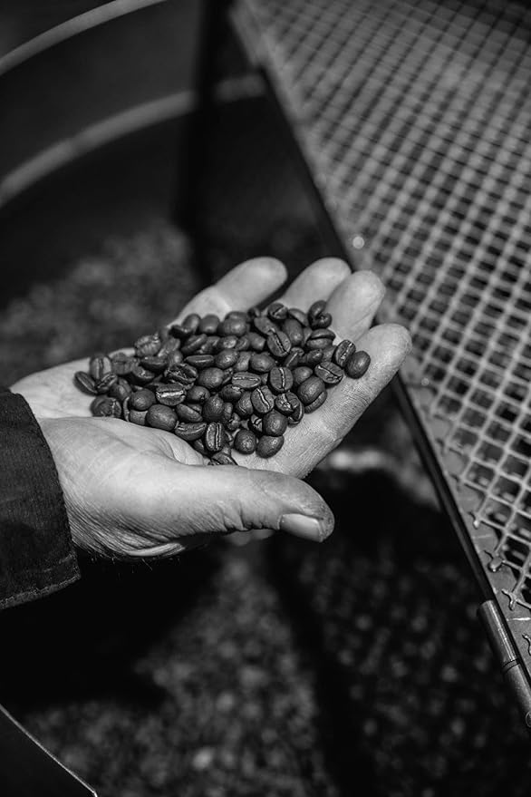 Bristot Crema Oro Italian Espresso Beans | Italian Beans Whole | Medium Roast | 1.1lb/500g