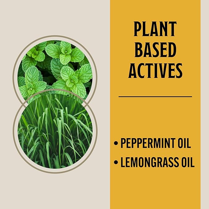 Grandpa Gus's Natural Spider Repellent Pouches, Peppermint and Lemongrass Oil Blend for Indoor Pest Control, Safe for Home, RV, Garage, Basement (10 Pouches)