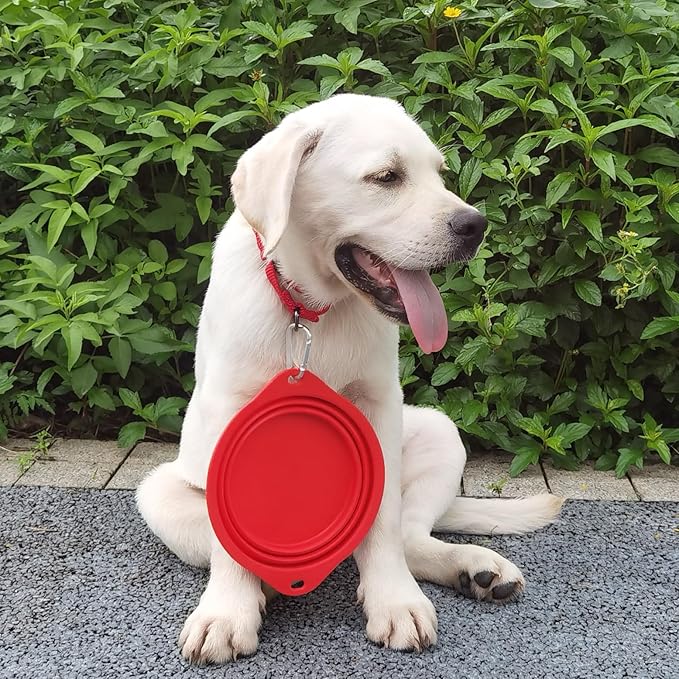 Collapsible Silicone Dog Bowl with Carabiner, 3 Sizes 5-27oz, Portable Pet Outdoor,Travel Bowl,(Black and Red)