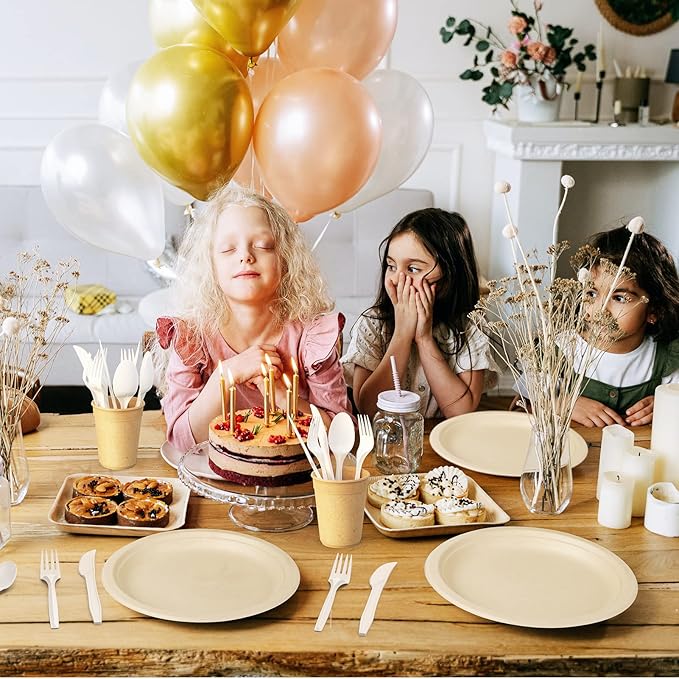 Gezond Compostable Spoons 300 Pack 6.7 Inch Disposable Spoons No Plastic Biodegradable Cutlery Set Heavy-duty for Party Wedding Camping Office Picnic