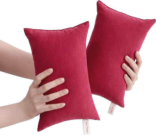 BEDSUM 2 Pack Tiny Pillows, 11"x7" Microfiber Mini Pillow for Travel, Dogs, Cats, Soft and Machine Washable Small Pillows for Neck, Wrist, and Knee Comfort, Red