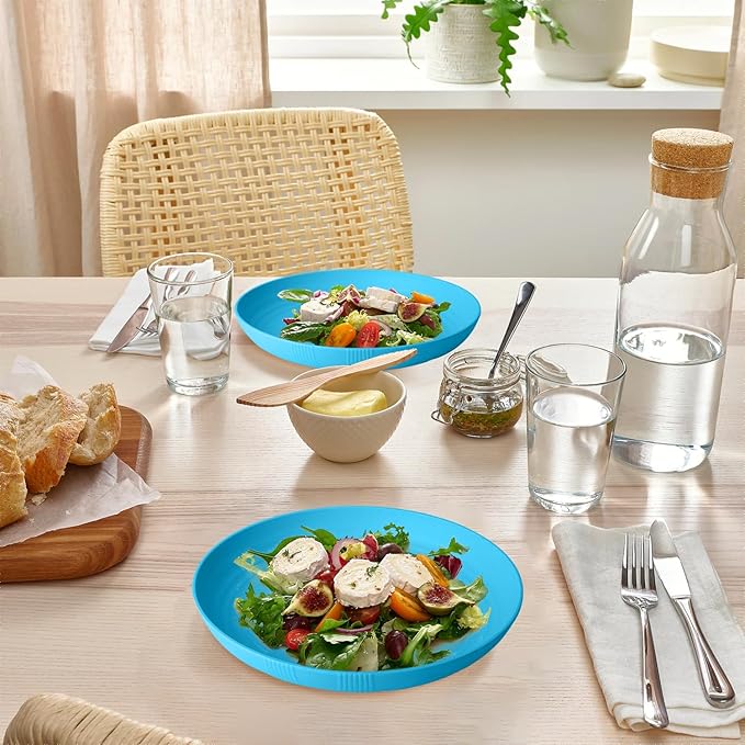 Homienly Wheat Straw Plates, 10 inch Deep Dinner Plates, Service for 8, Unbreakable Plates for Outdoor, Lightweight Microwave and Dishwasher Safe Camping Plate Set for Dinner, Salad, Fruit - Sky Blue