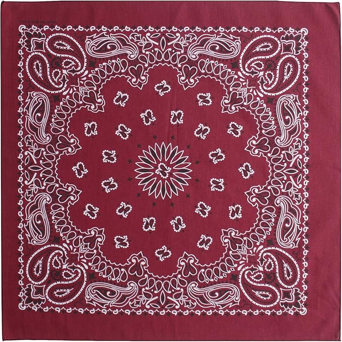 $averPak Pets - InsectGuard Permethrin Treated Mosquitoes, Flies, Ticks & More Insect Repellent Dog Bandanna Paisley (Burgundy)