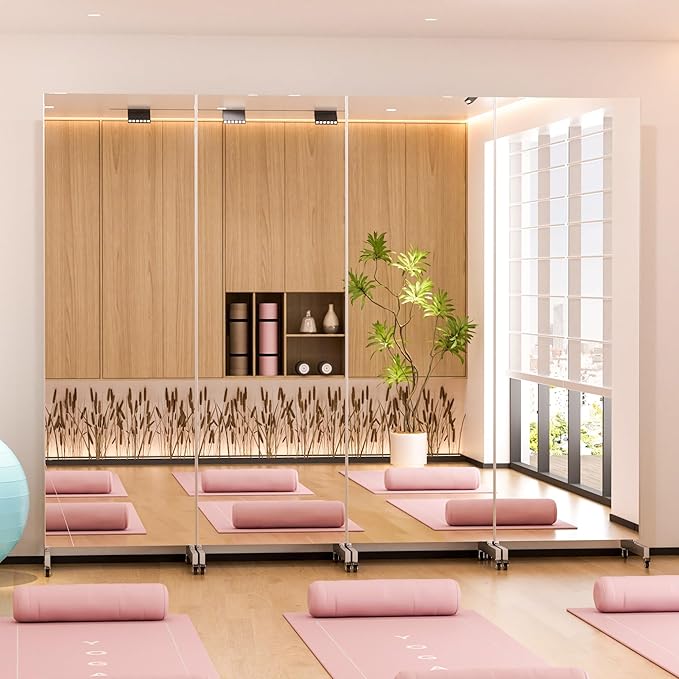 brisafe Home Gym Mirror 360° Swivel on Wheels, 71" X 24" Nano Film Super Lightweight Unbreakable Full Length Mirror for Yoga, Dance Studio, Silver