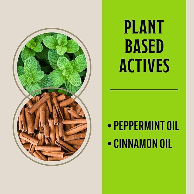 Grandpa Gus's Extra-Strength Mouse Repellent Pouches, Cinnamon/Peppermint Oils Repel Mice from Nesting & Freshen Air in Car/RV/Boat/Garage/Shed/Cabin, 1.75 oz (Pack of 10)