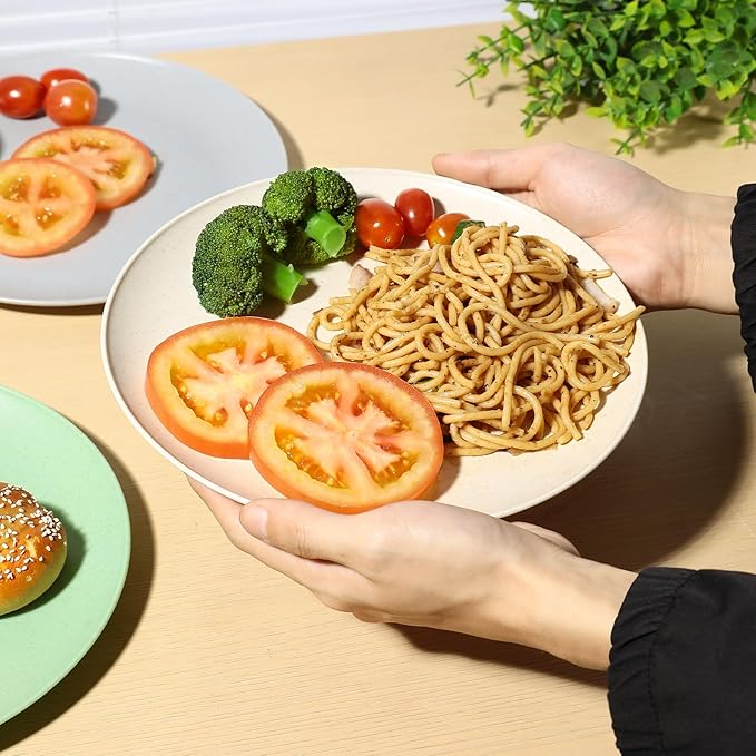 Dinner Plates Set of 8, Microwave and Dishwasher Safe Wheat Straw Dinnerware Plates for Kitchen, Unbreakable Kids Plates with 4 Colors, Suitable for picnics and party. (9 inch)