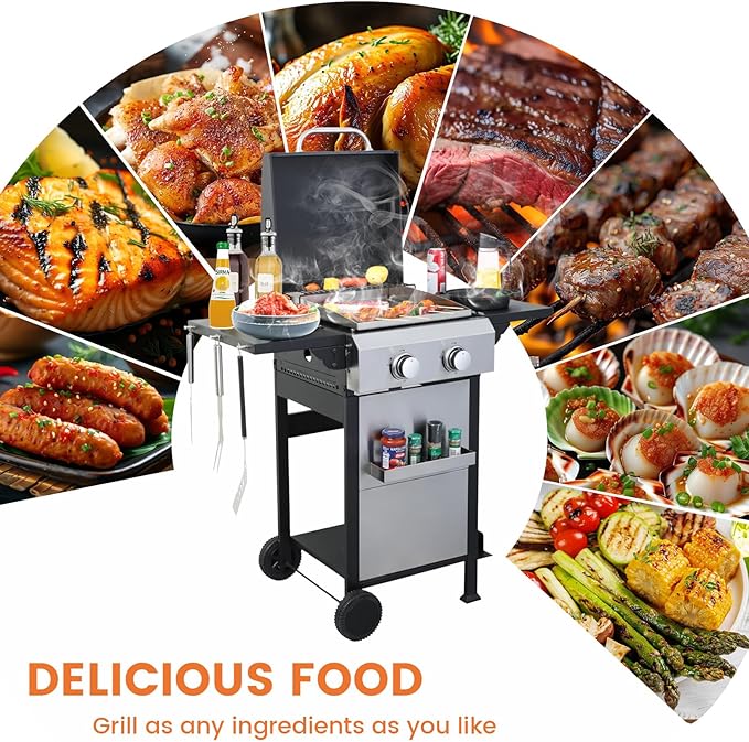 2-Burner Propane Gas BBQ Grill, SS Plancha, 24600BTU Stainless Steel Barbecue Grill With Wire Enamel Cooking Grids Foldable Side Table for Outdoor Camping (Style9: 2-Burner with SS Plancha)