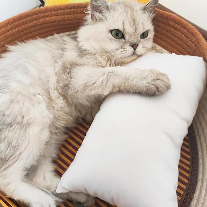 BEDSUM 2 Pack Tiny Pillows, 11"x7" Microfiber Mini Pillow for Travel, Pets, Soft and Machine Washable Small Pillows for Neck, Wrist, and Knee Comfort, Light Grey