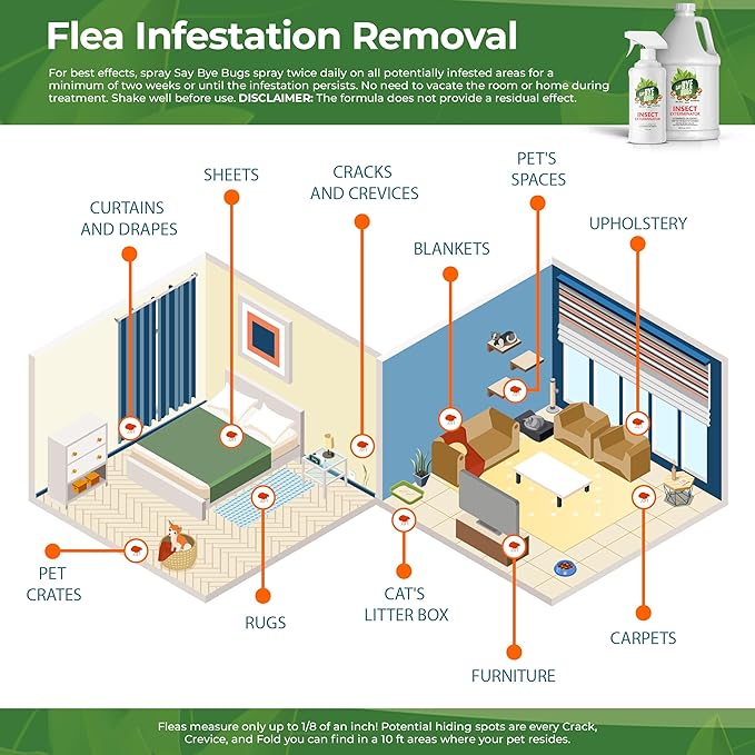 Insect Exterminator - a Non-Toxic, Kill on Contact Bug Spray hat Doesn't Stain & is Odor Free. Kills Fleas, Ants, Mites, Silverfish, and Other Home Insects. Shake & Spray (3X 16oz)