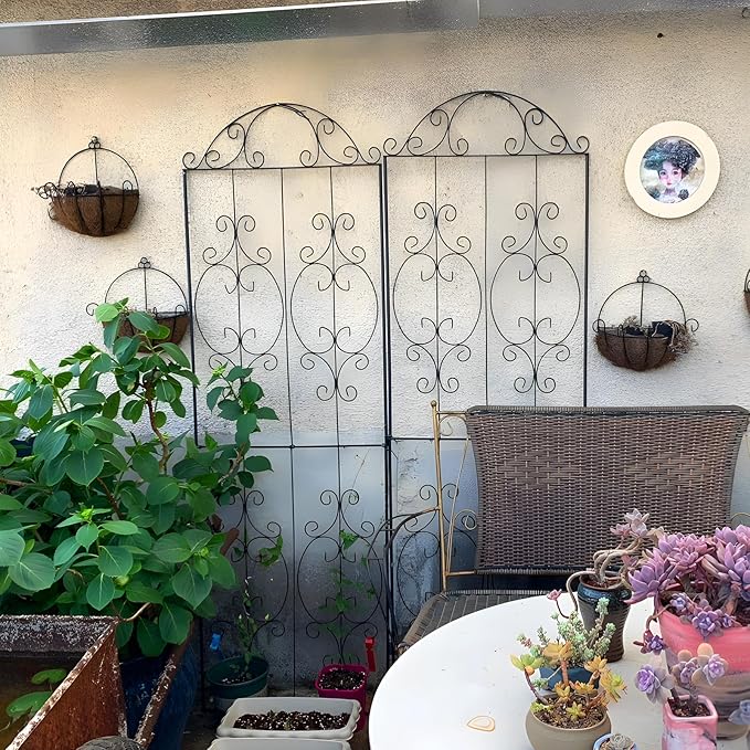 Garden Trellis 2 Pack 80 Inch.H x 22 Inch.W Heavy-Duty Climbing Plant Trellis Metal Plant Supports Suitable Supporting Climbing Plants Outdoor, Roses, Vegetables, Vines, Flowers