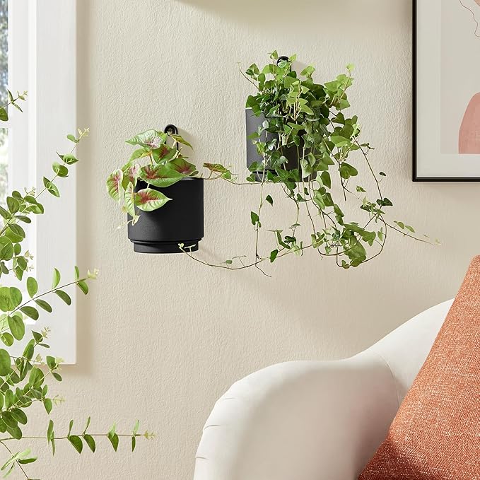 2 Pcs Wall Mounted Hanging Planter Vase for Indoor and Outdoor Plants Modern Metal Wall and Ceiling Planter Minimalist Flower Pot (Black, 5.91 inch)